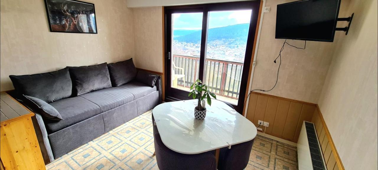 Vacances Gerardmer Belle Vue Et Calme Экстерьер фото